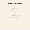 Middle School Cells & Human Body Skills Bundle | Grades 6–8 Printable Science Worksheets